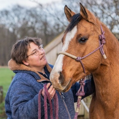 De Weiden Paardencoaching