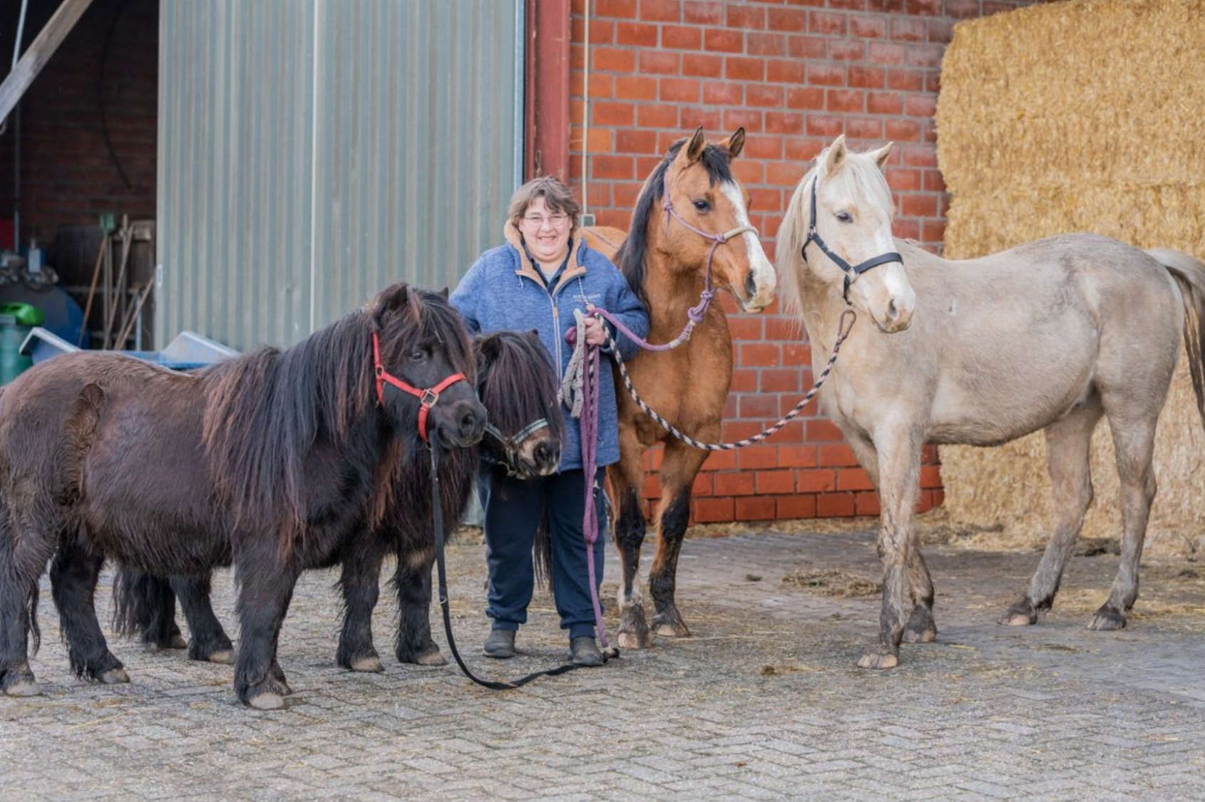 De Weiden Paardencoaching