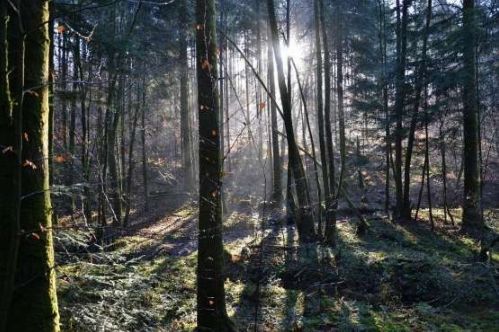 De stem van de natuur- naturbelevings week frankrijk